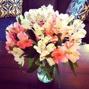 Thanksgiving and Black Friday Special